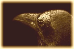 raven_sepia left